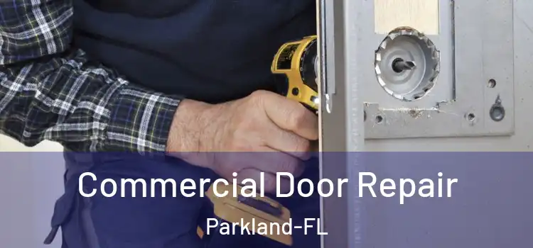 Commercial Door Repair Parkland-FL