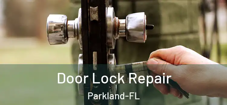 Door Lock Repair Parkland-FL