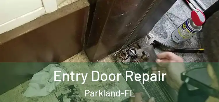 Entry Door Repair Parkland-FL