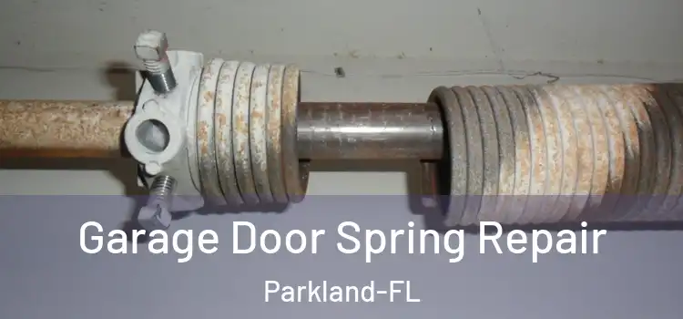 Garage Door Spring Repair Parkland-FL