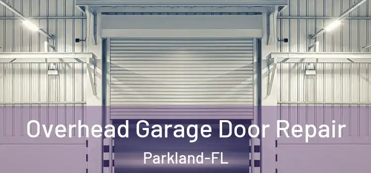 Overhead Garage Door Repair Parkland-FL