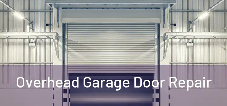 Overhead Garage Door Repair