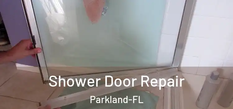  Shower Door Repair Parkland-FL