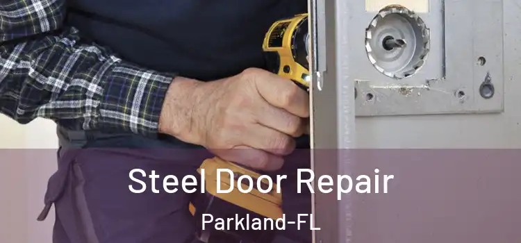 Steel Door Repair Parkland-FL